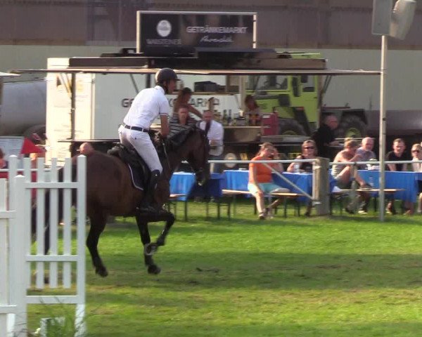 Reitturnier Kellinghusen 2019