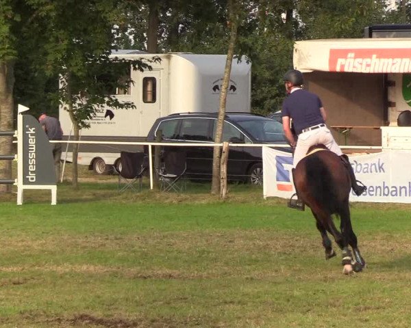 Reitturnier Kellinghusen 2019