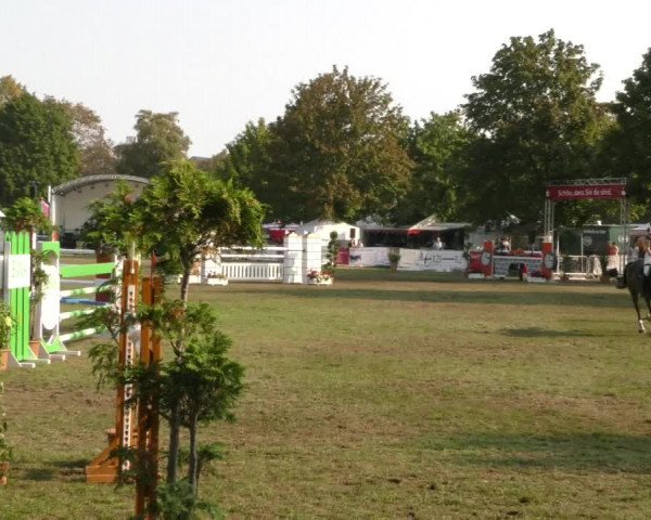 Reitturnier Aschersleben 2019