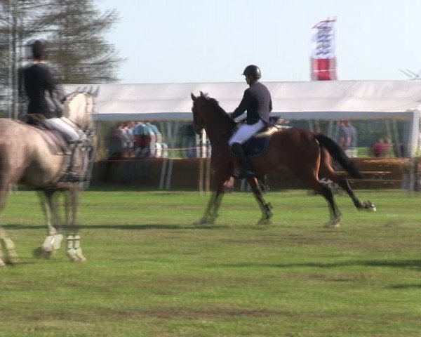 Reitturnier Löwenstedt 2019