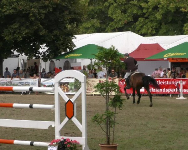Reitturnier Aschersleben 2019