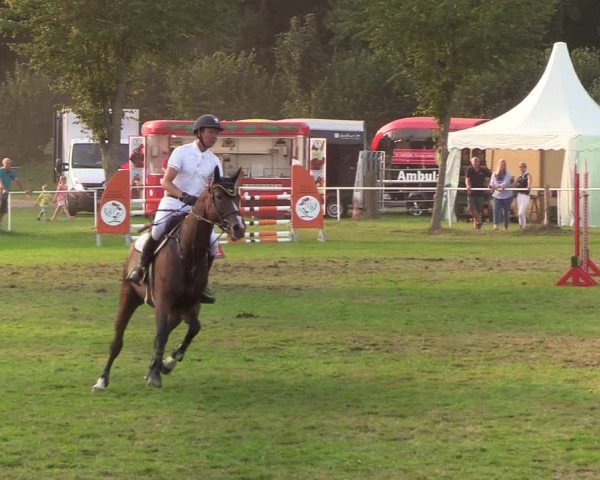 Reitturnier Kellinghusen 2019