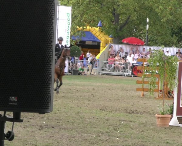 Reitturnier Aschersleben 2019