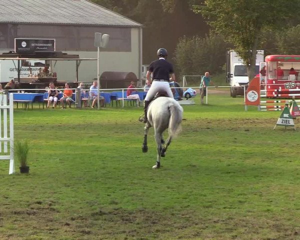 Reitturnier Kellinghusen 2019