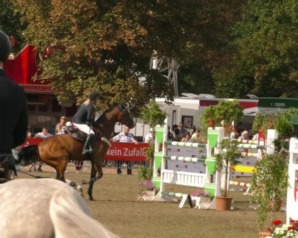 Reitturnier Aschersleben 2019