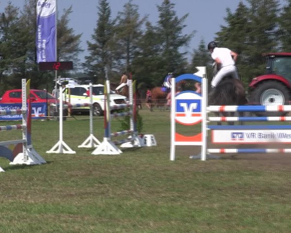 Reitturnier Löwenstedt 2019