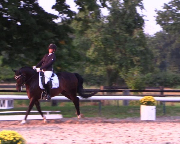 Reitturnier Recklinghausen 2019