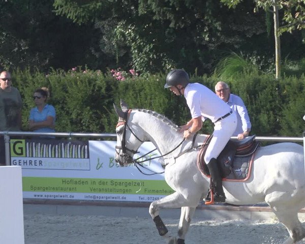 Reitturnier Durmersheim-Hardt 2019