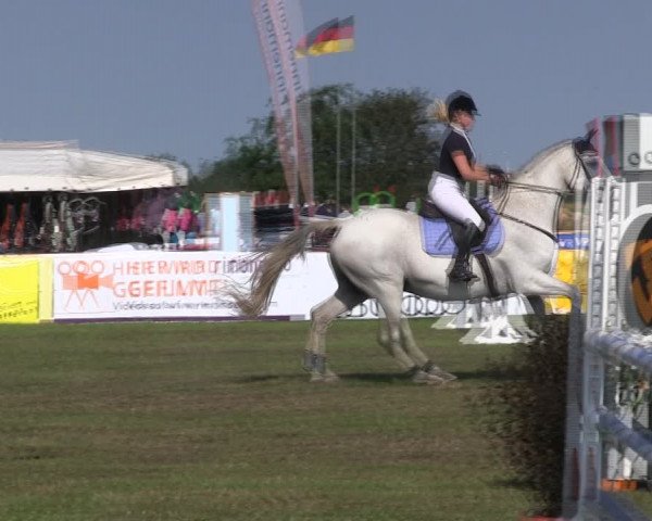 Reitturnier Löwenstedt 2019
