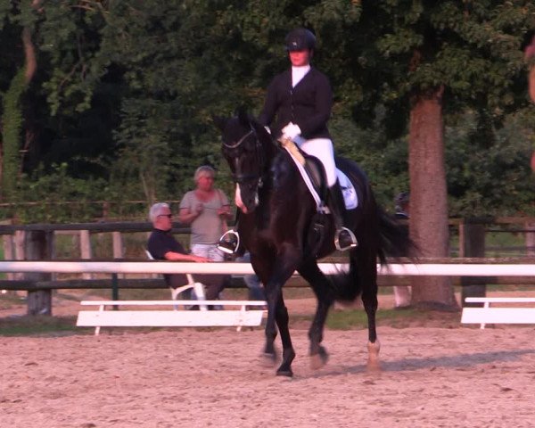 Reitturnier Recklinghausen 2019