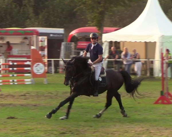Reitturnier Kellinghusen 2019