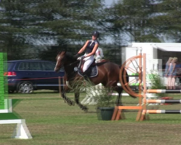 Reitturnier Löwenstedt 2019