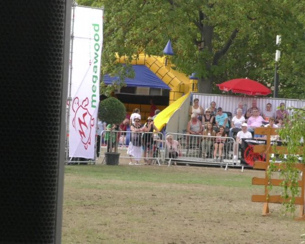 Reitturnier Aschersleben 2019
