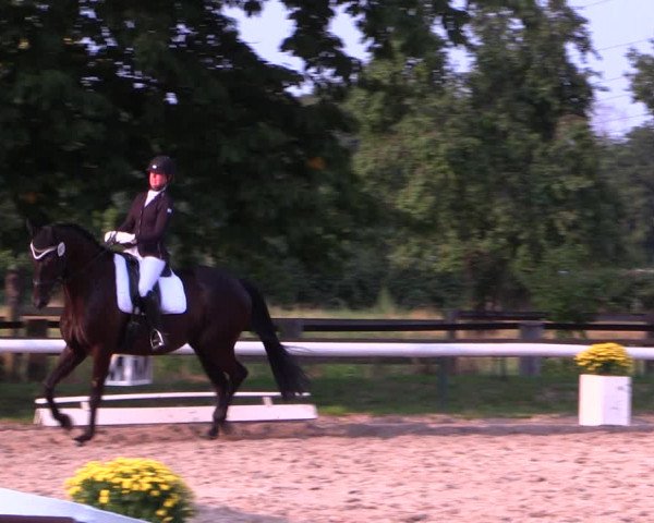 Reitturnier Recklinghausen 2019