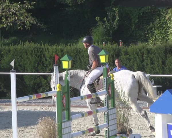Reitturnier Durmersheim-Hardt 2019