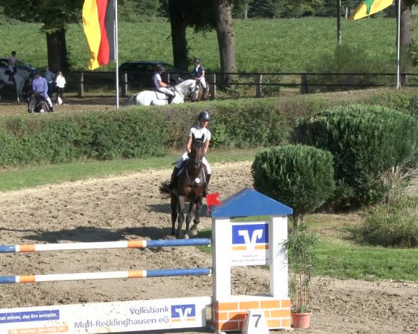 Reitturnier Recklinghausen 2019
