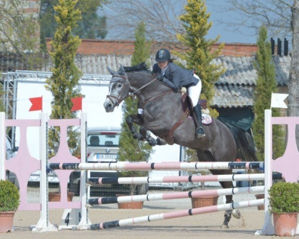 Zuchtstute Dr.max Think Twice 111 Z (Zangersheide Reitpferd, 2009, von Toulon)