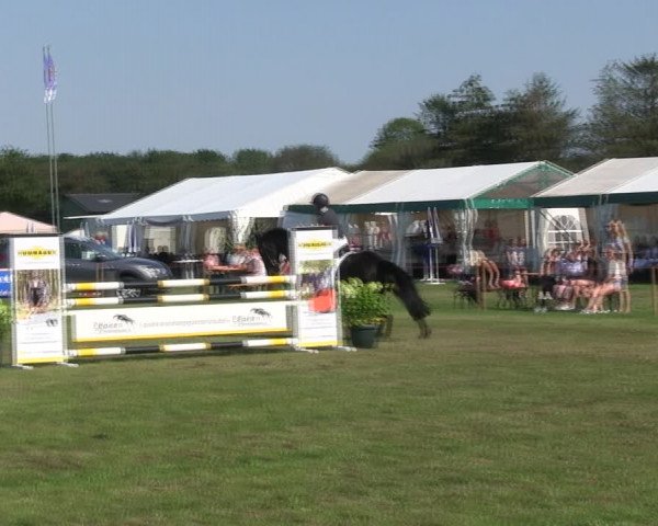 Reitturnier Löwenstedt 2019