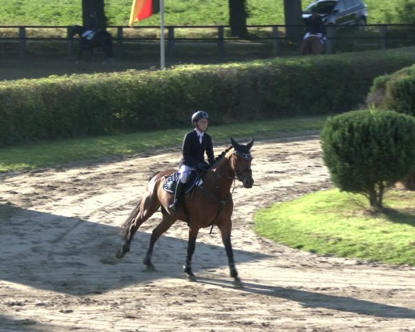 Reitturnier Recklinghausen 2019