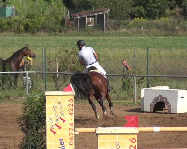 Reitturnier Heidelberg-Kirchheim 2019