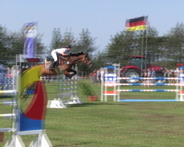 Reitturnier Löwenstedt 2019