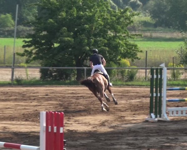 Reitturnier Heidelberg-Kirchheim 2019