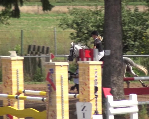 Reitturnier Heidelberg-Kirchheim 2019