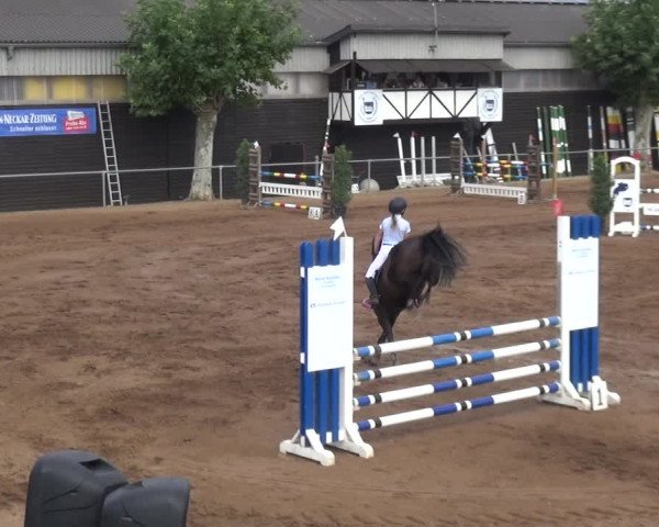 Reitturnier Heidelberg-Kirchheim 2019