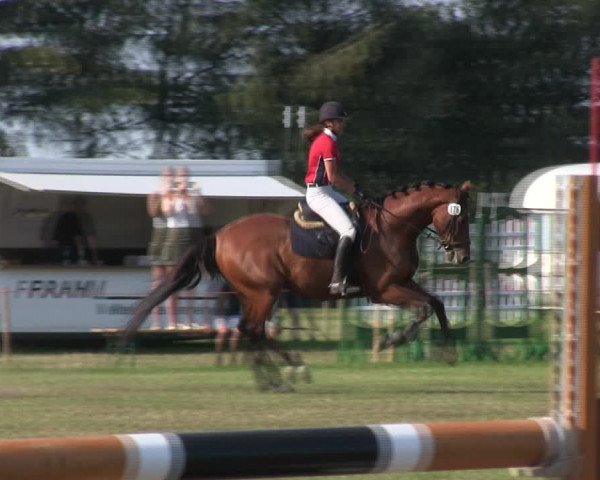 Reitturnier Löwenstedt 2019