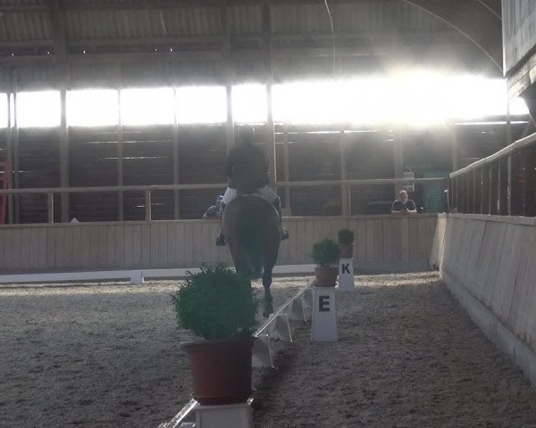 Reitturnier Heidelberg-Kirchheim 2019