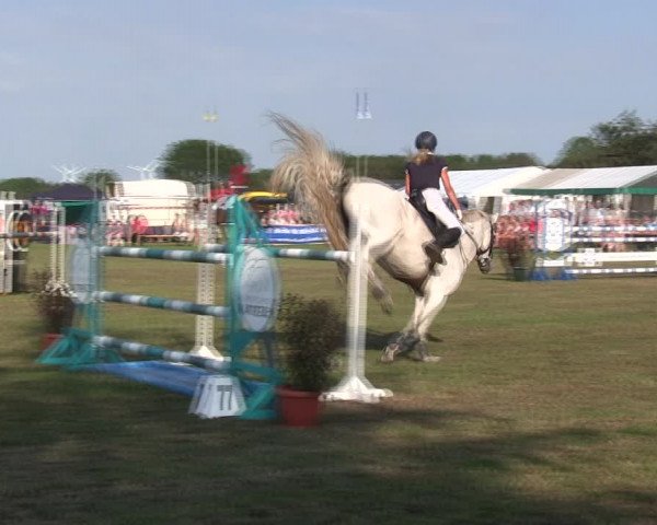Reitturnier Löwenstedt 2019