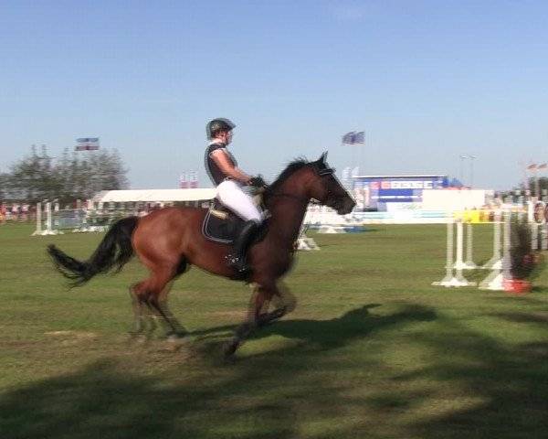 Reitturnier Löwenstedt 2019