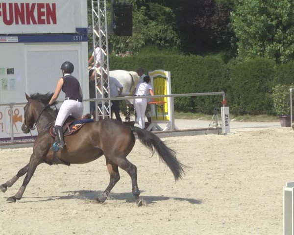 Reitturnier Durmersheim-Hardt 2019