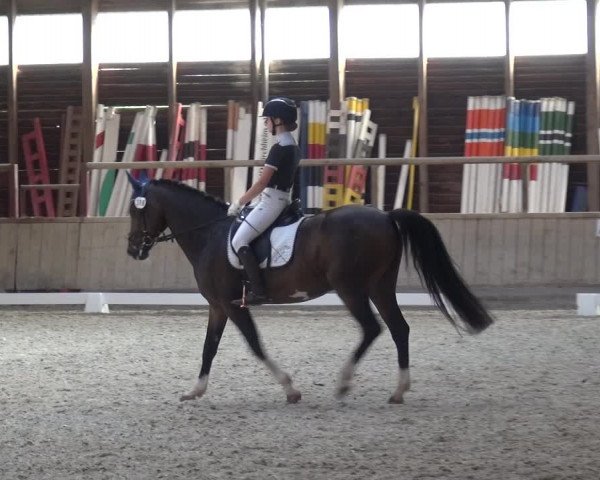 Reitturnier Heidelberg-Kirchheim 2019