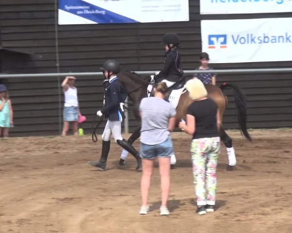 Reitturnier Heidelberg-Kirchheim 2019