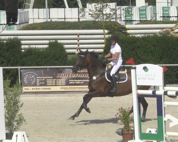 Reitturnier Durmersheim-Hardt 2019