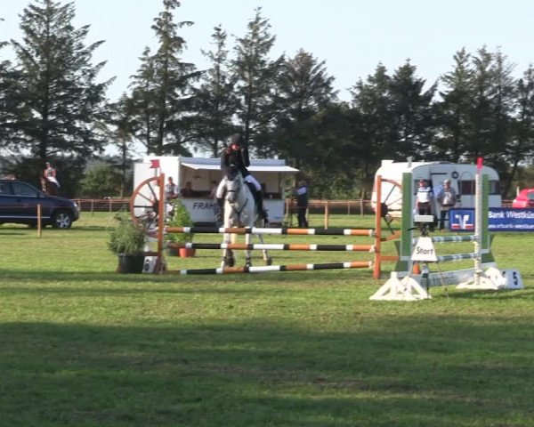 Reitturnier Löwenstedt 2019
