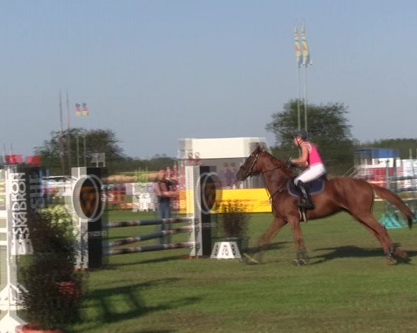 Reitturnier Löwenstedt 2019