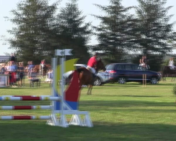Reitturnier Löwenstedt 2019