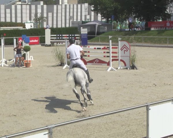 Reitturnier Durmersheim-Hardt 2019