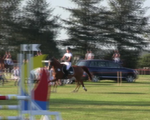 Reitturnier Löwenstedt 2019