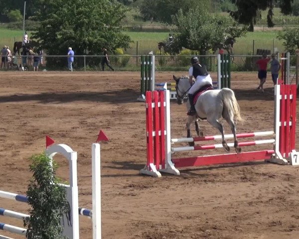 Reitturnier Heidelberg-Kirchheim 2019