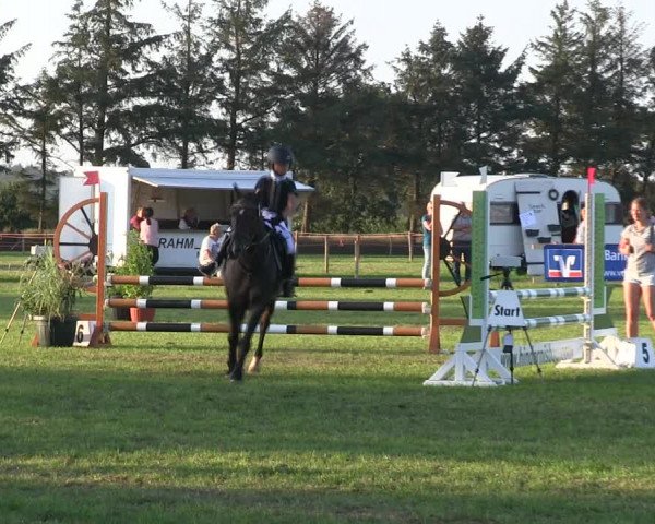 Reitturnier Löwenstedt 2019