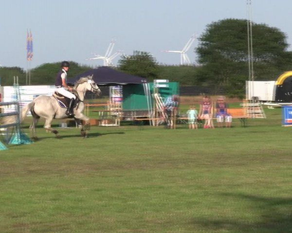 Reitturnier Löwenstedt 2019