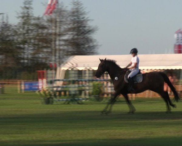 Reitturnier Löwenstedt 2019