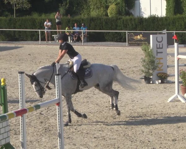 Reitturnier Durmersheim-Hardt 2019