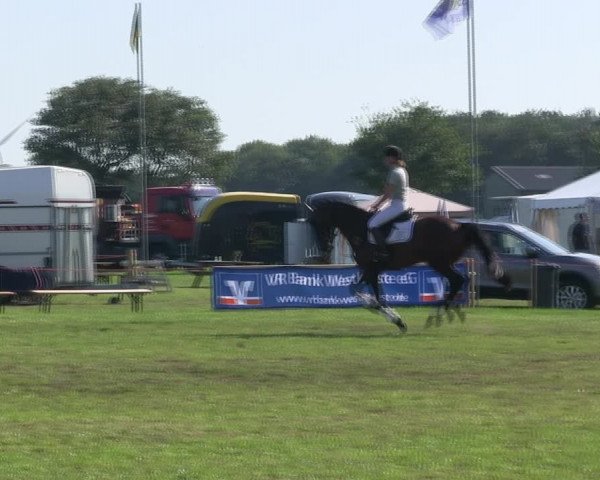 Reitturnier Löwenstedt 2019