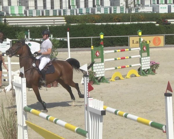 Reitturnier Durmersheim-Hardt 2019
