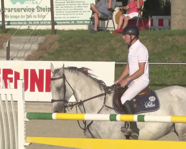 Reitturnier Durmersheim-Hardt 2019