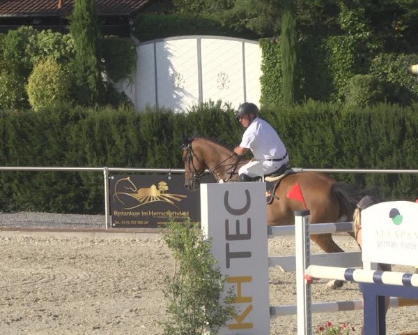 Reitturnier Durmersheim-Hardt 2019